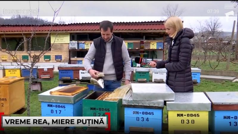 Cât a ajuns să coste un borcan de miere în 2025. Motivul pentru care producția este în scădere