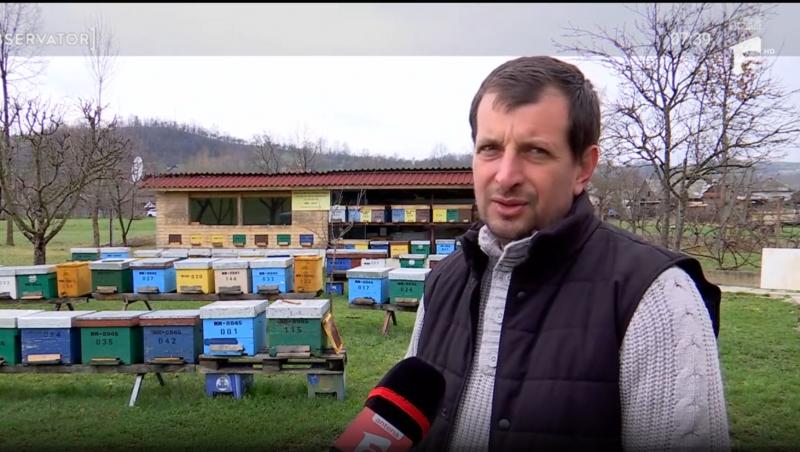 Cât a ajuns să coste un borcan de miere în 2025. Motivul pentru care producția este în scădere