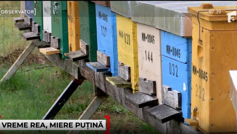 Cât a ajuns să coste un borcan de miere în 2025. Motivul pentru care producția este în scădere