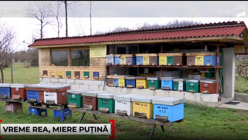 Cât a ajuns să coste un borcan de miere în 2025. Motivul pentru care producția este în scădere
