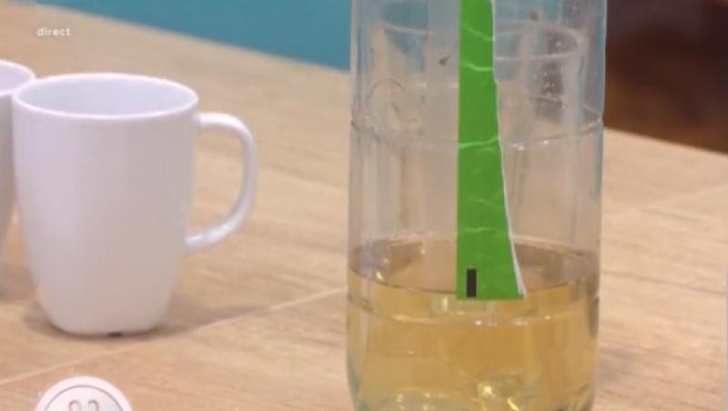 Mireasa sezonul 11. Roberto, nepotul doamnei Tudora, a intervenit după scandalul cu șampania. Ce i-a zis doamnei Dorina