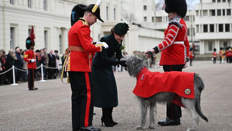 Kate Middleton a dezvăluit ce crede cu adevărat despre barba Prințului William.Ce ia în considerare moștenitorul tronului britanic