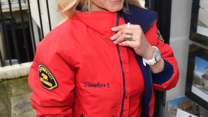 David Hasselhoff, devastat după ce fosta sa soție și-a luat viața. Cum a fost surprins de paparazzi