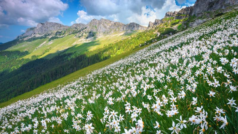 Echinocțiul de primăvară 2025. Când începe primăvara astronomică și ce tradiții se respectă în ziua respectivă