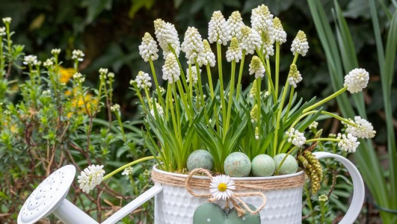 Echinocțiul de primăvară 2025. Când începe primăvara astronomică și ce tradiții se respectă în ziua respectivă