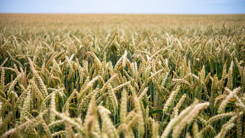 Echinocțiul de primăvară 2025. Când începe primăvara astronomică și ce tradiții se respectă în ziua respectivă