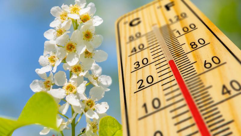 Prognoză meteo 24 - 29 martie 2025. Cum va fi vremea în România în această perioadă