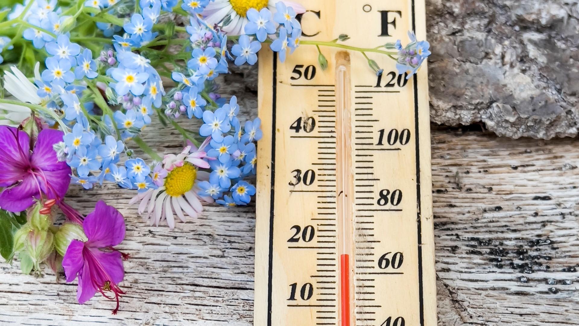 Prognoză meteo 24 - 29 martie 2025. Cum va fi vremea în România în această perioadă