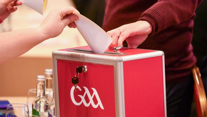 Fost luptător de arte marțiale mixte vrea să devină președinte. Ce planuri ar avea pentru mandat