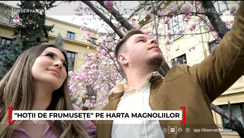Unde pot fi admirate cele mai frumoase magnolii. În Capitală a început deja vânătoarea pentru cele mai reușite fotografii