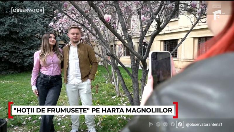 Unde pot fi admirate cele mai frumoase magnolii. În Capitală a început deja vânătoarea pentru cele mai reușite fotografii