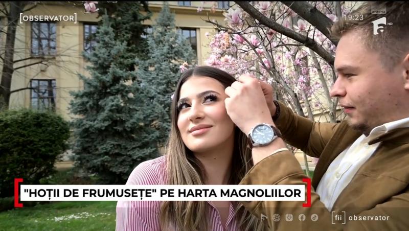 Unde pot fi admirate cele mai frumoase magnolii. În Capitală a început deja vânătoarea pentru cele mai reușite fotografii