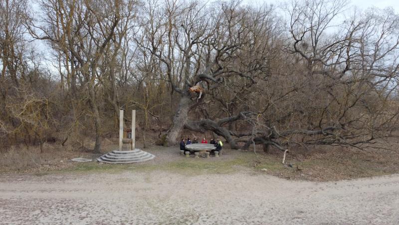 Alege BINE pentru TINE. În fiecare zi. Cum a ajuns o ruină locul din care vin 31 dintre marii campioni ai României