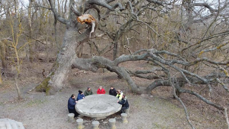 Alege BINE pentru TINE. În fiecare zi. Cum a ajuns o ruină locul din care vin 31 dintre marii campioni ai României