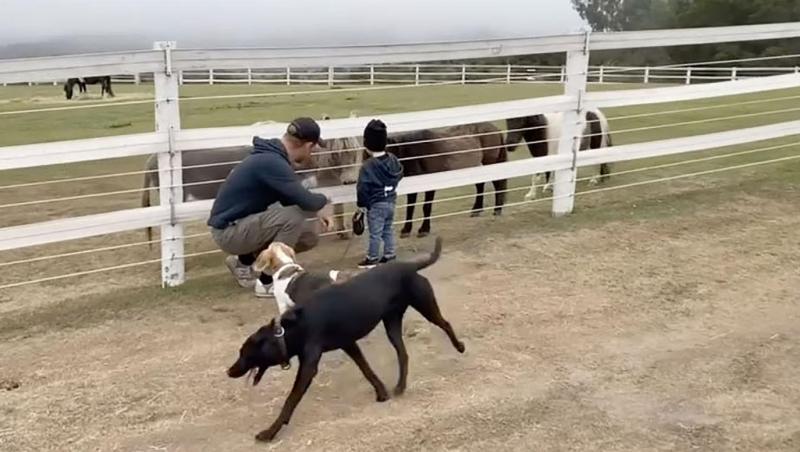 Poza cu părul roșcat al copiilor lui Meghan Markle. Micuții seamănă cu tatăl lor