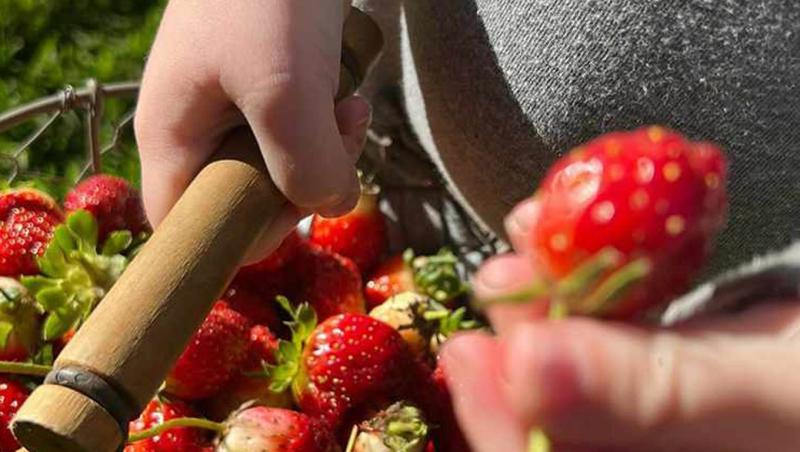 Poza cu părul roșcat al copiilor lui Meghan Markle. Micuții seamănă cu tatăl lor