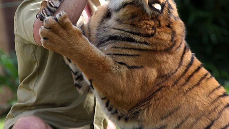 Cum arată nepoțica regretatului ”Vânător de crocodili”. Grace a împlinit 4 ani