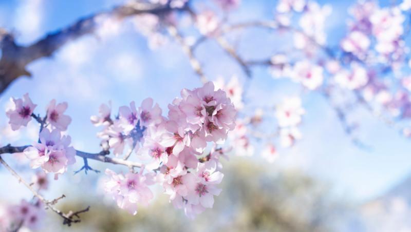 Ce se întâmplă cu vremea la finalul săptămânii. Ce temperaturi se înregistrează în weekend