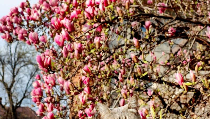 Ce se întâmplă cu vremea la finalul săptămânii. Ce temperaturi se înregistrează în weekend