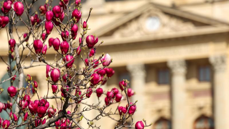 Prognoză meteo 31 martie - 5 aprilie 2025. Cum va fi vremea în România la începutul lunii