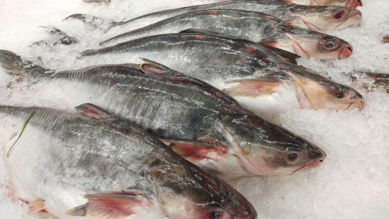 Peștele care îți afectează grav sănătatea. Este printre achizițiile populare ale românilor pentru că este ieftin