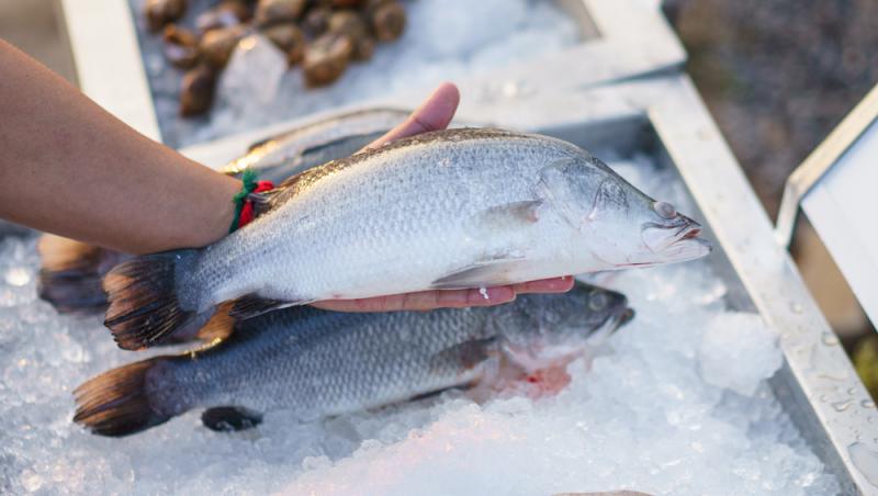 Peștele care îți afectează grav sănătatea. Este printre achizițiile populare ale românilor pentru că este ieftin