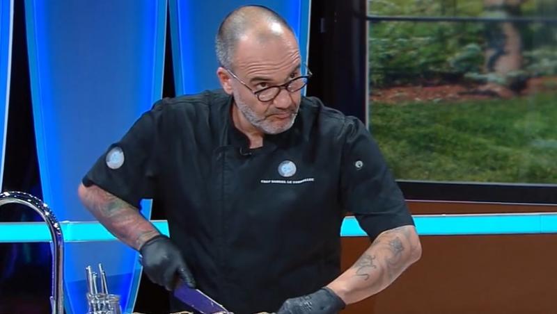 MediCOOL, sezon 8, 29 martie. Beneficiile și proprietățile uleiului de rapiță. Explicațiile specialiștilor