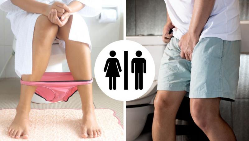 oameni care stau pe toaleta