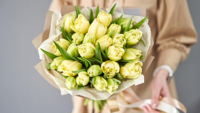 Lalelele, unele dintre cele mai populare flori de primăvară. Ce semnificație au în funcție de culoare