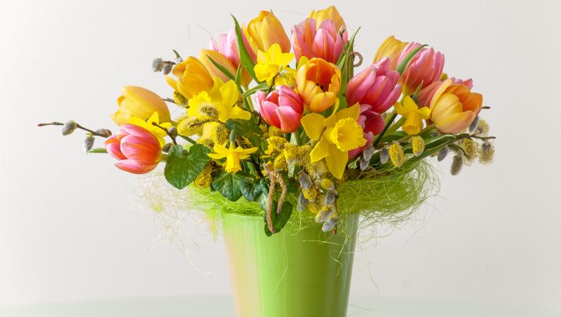 Lalelele, unele dintre cele mai populare flori de primăvară. Ce semnificație au în funcție de culoare