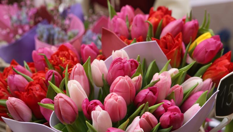 Lalelele, unele dintre cele mai populare flori de primăvară. Ce semnificație au în funcție de culoare