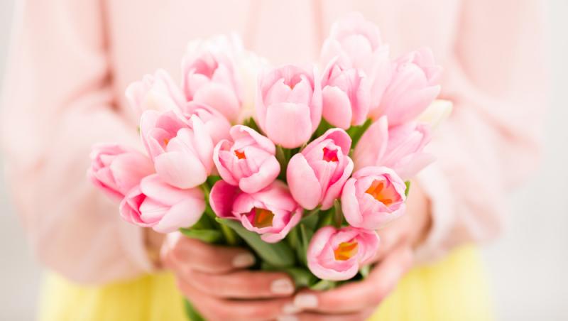 Lalelele, unele dintre cele mai populare flori de primăvară. Ce semnificație au în funcție de culoare