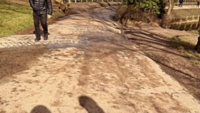 Mireasa, sezon 7. Antonio are o nouă iubită. Fostul partener al Mariei s-a afișat cu Mădălina. Cum arată tânăra care l-a cucerit