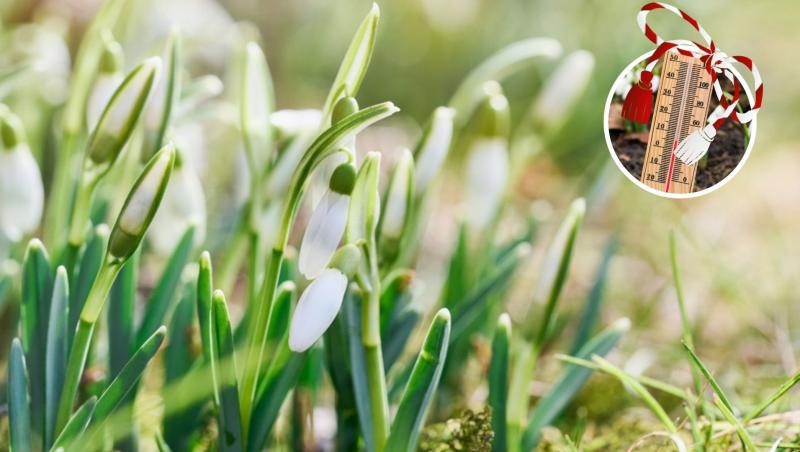 Ghiocei și un termometru cu șnur de mărțișor deasupra