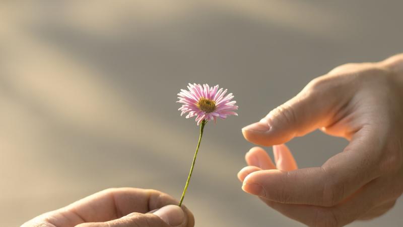 Ce flori nu se oferă de Ziua Femeii. Pe 8 martie este mai bine să eviți aceste alegeri populare