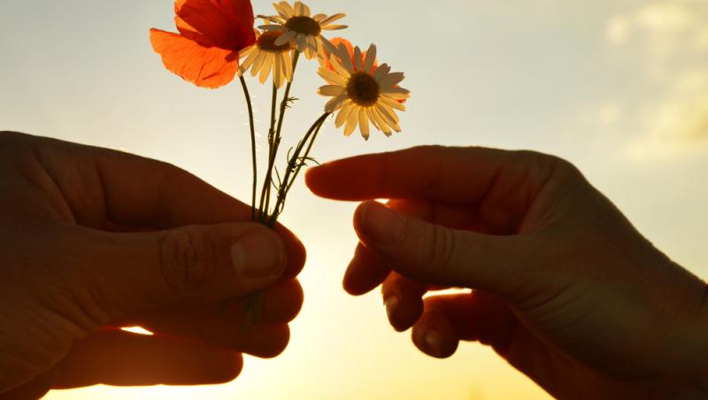 Ce flori nu se oferă de Ziua Femeii. Pe 8 martie este mai bine să eviți aceste alegeri populare