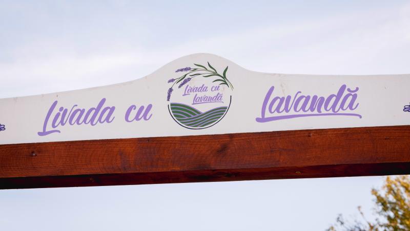 Iubire cu parfum de lavandă sezon 2, rezumat episoade 25, 26 și 27 din 7 martie 2025. Albert îl amenință pe Cristi. Ce urmează