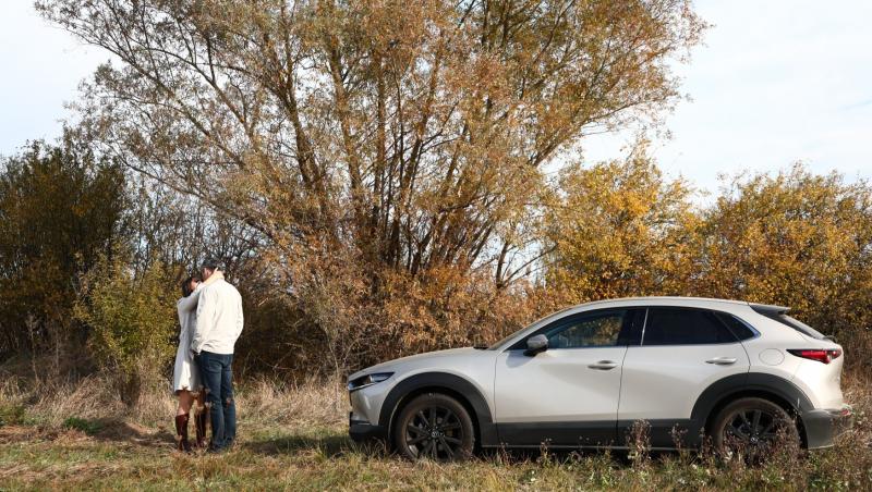 Iubire cu parfum de lavandă sezon 2, rezumat episoade 25, 26 și 27 din 7 martie 2025. Albert îl amenință pe Cristi. Ce urmează