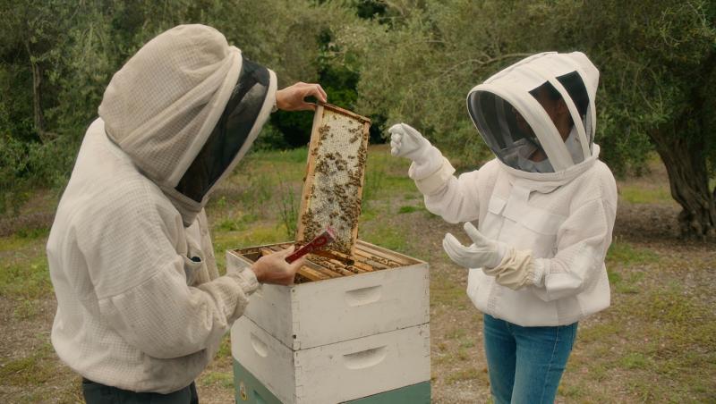 Afacerea lui Meghan Markle sub scrutinul publicului. Deși și-a epuizat stocul într-o oră, clienții cer banii înapoi