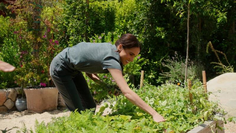 Afacerea lui Meghan Markle sub scrutinul publicului. Deși și-a epuizat stocul într-o oră, clienții cer banii înapoi