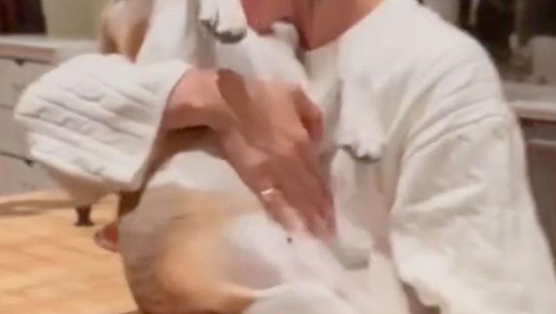 Afacerea lui Meghan Markle sub scrutinul publicului. Deși și-a epuizat stocul într-o oră, clienții cer banii înapoi