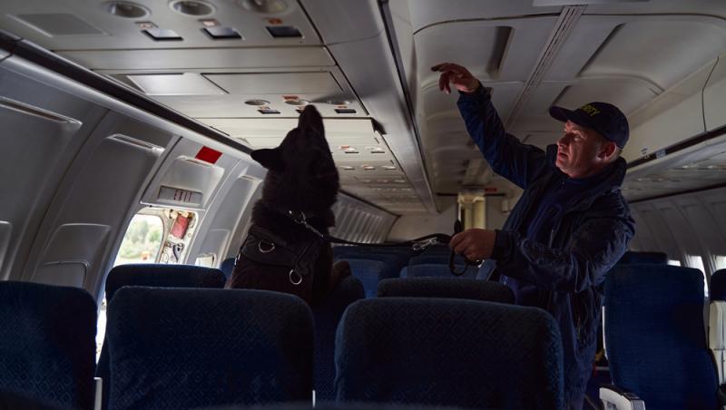 Cuplu escortat din avion la întoarcerea din vacanță. Care este motivul jenant: „I-au oprit pe toți cei care voiau să iasă”