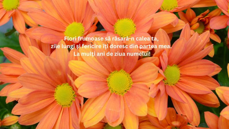 Mesaje, urări și felicitări de Florii 2025. Cele mai frumoase urări pentru cei care își serbează ziua numelui