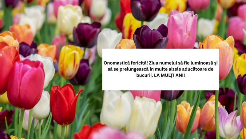 Mesaje, urări și felicitări de Florii 2025. Cele mai frumoase urări pentru cei care își serbează ziua numelui