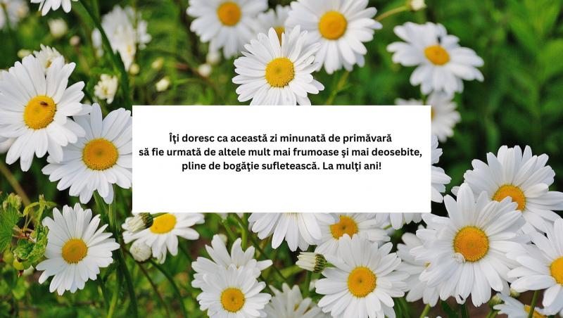 Mesaje, urări și felicitări de Florii 2025. Cele mai frumoase urări pentru cei care își serbează ziua numelui