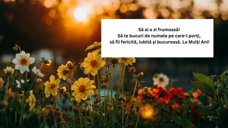Mesaje, urări și felicitări de Florii 2025. Cele mai frumoase urări pentru cei care își serbează ziua numelui