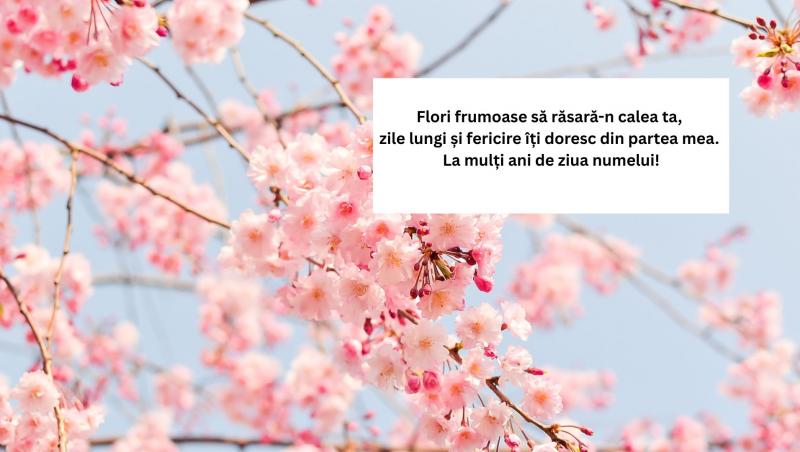 Mesaje, urări și felicitări de Florii 2025. Cele mai frumoase urări pentru cei care își serbează ziua numelui