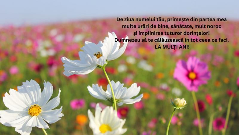 Mesaje, urări și felicitări de Florii 2025. Cele mai frumoase urări pentru cei care își serbează ziua numelui