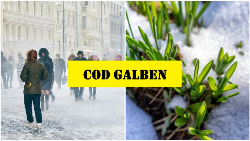 Colaj cu oameni prin viscol și plante sub zăpadă