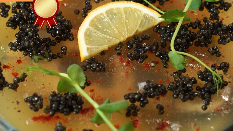 Hello Chef sezon 9, 12 aprilie 2025. Rețeta Roxanei Blenche pentru piftie de știucă cu icre de morun. Ce a votat Bogdan Simion